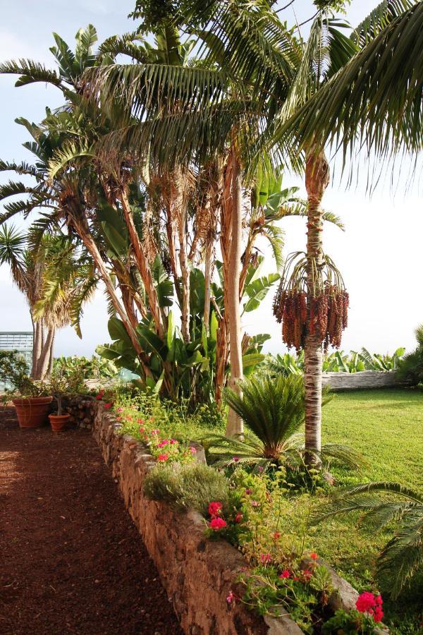 Finca El Patio Los Realejos Dış mekan fotoğraf