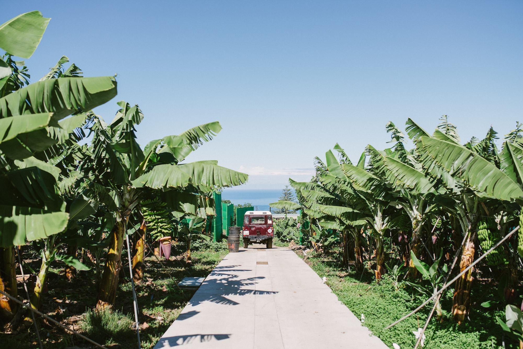 Finca El Patio Los Realejos Dış mekan fotoğraf