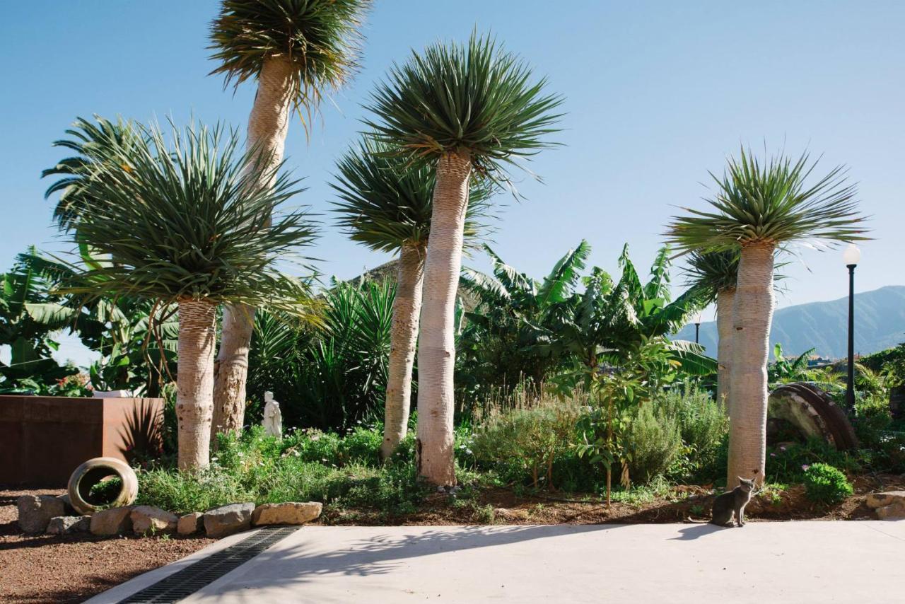 Finca El Patio Los Realejos Dış mekan fotoğraf
