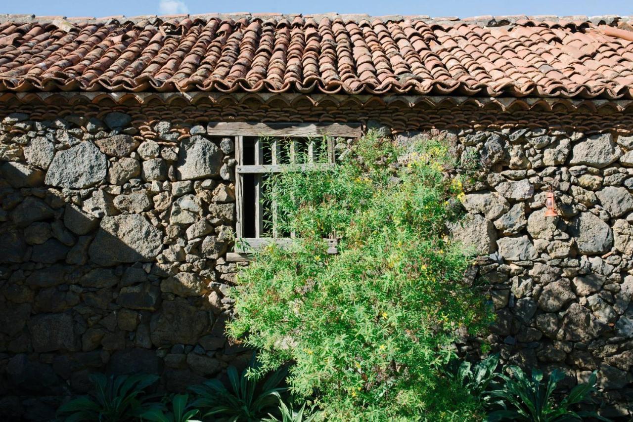 Finca El Patio Los Realejos Dış mekan fotoğraf