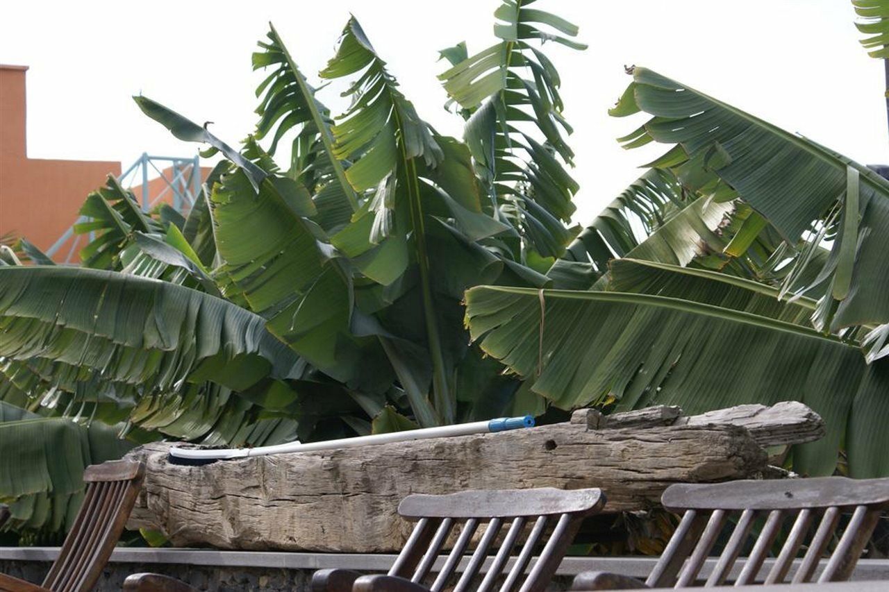 Finca El Patio Los Realejos Dış mekan fotoğraf